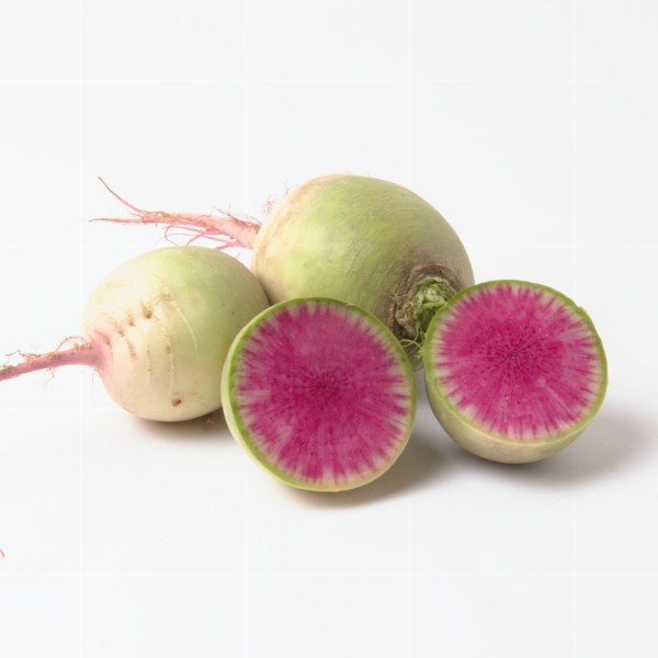 Rettich red flesh (rotfleischig)