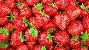 TEST Stachelbeeren färbig (rot & gelb) (Hinterholzer)