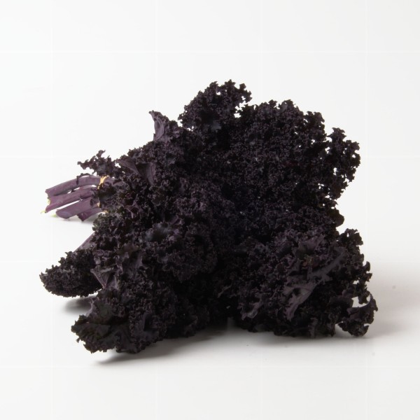 Grünkohl - Buttonhole Kale red