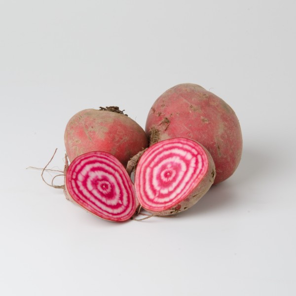 Rote Rüben - Tonda di Chioggia - rot-weiß gestreift