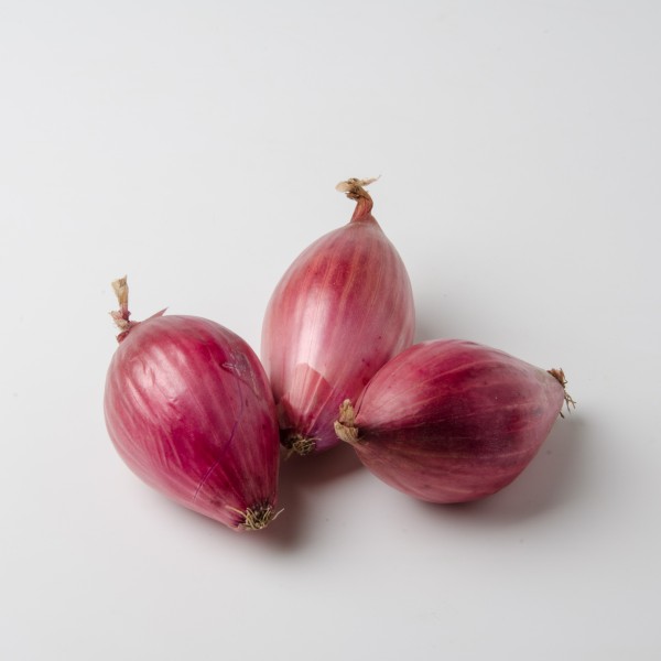 Gemüsezwiebel rot