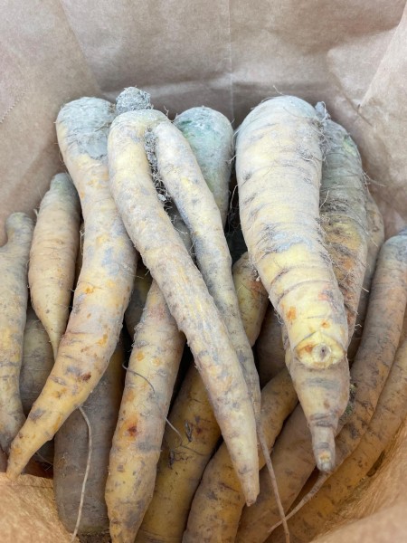 Karotten gelb ungewaschen