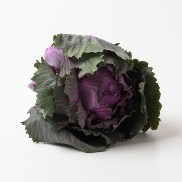 Grünkohl - Coloured Kale Roulette red