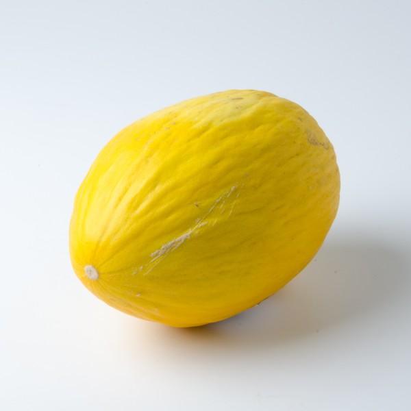 Honigmelone