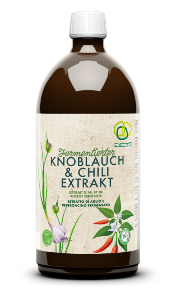 Fermentierter Knoblauch- und Chiliextrakt 