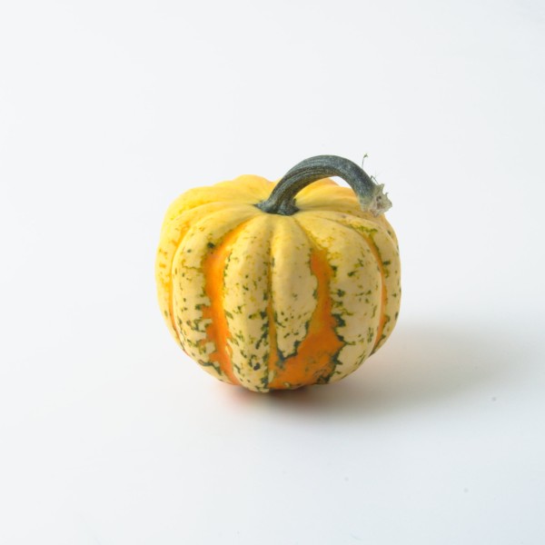 Kürbis Sweet Dumpling